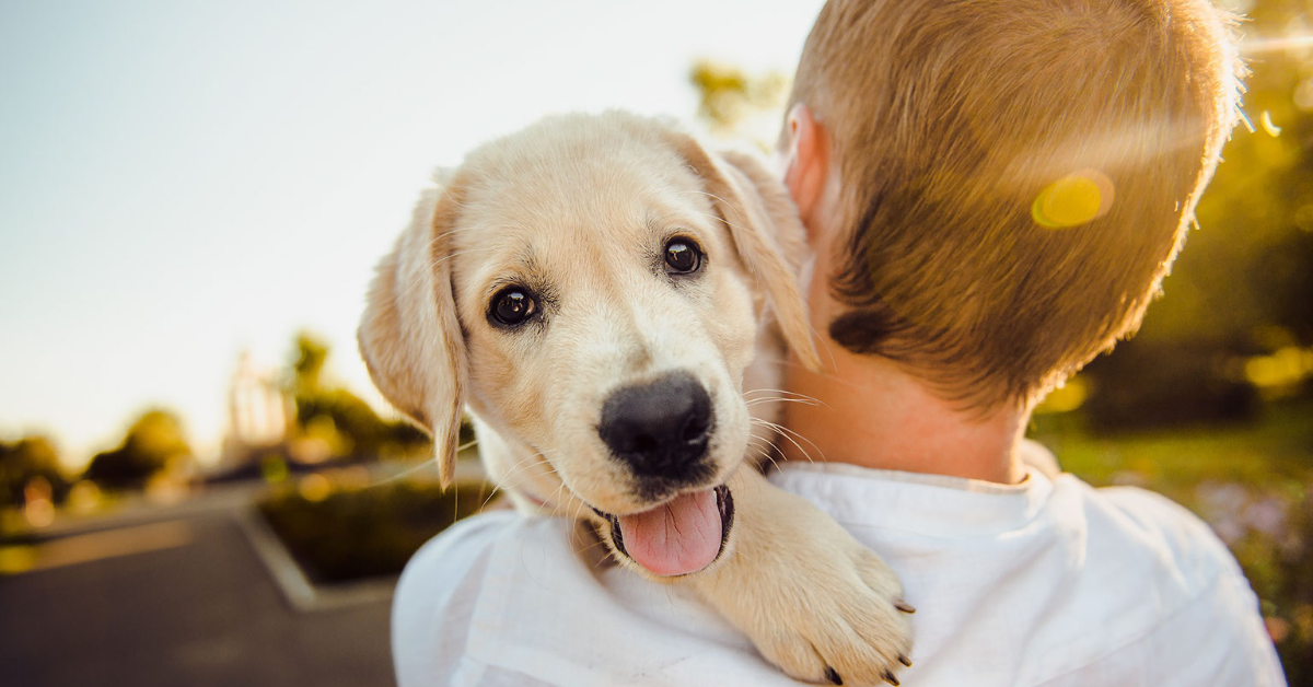 A Guide to a Happy and Healthy Pet!